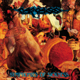 Carcass : Symphonies Of Sickness