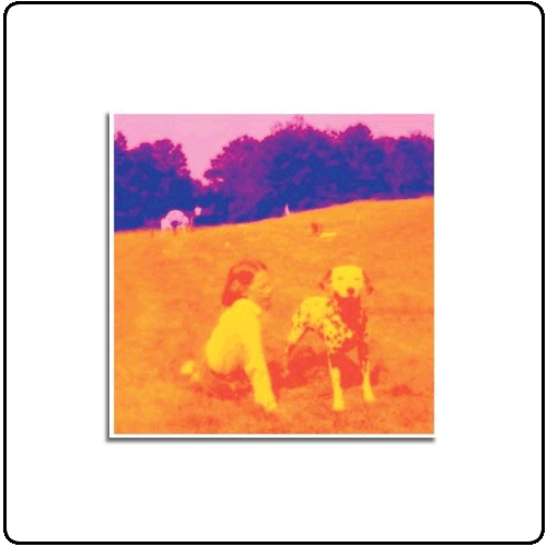 Eels - Blinking Lights