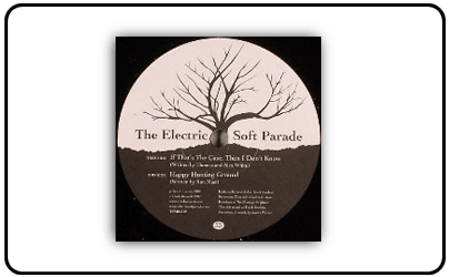 Electric Soft Parade - If That's The Case, Then I Don't Know