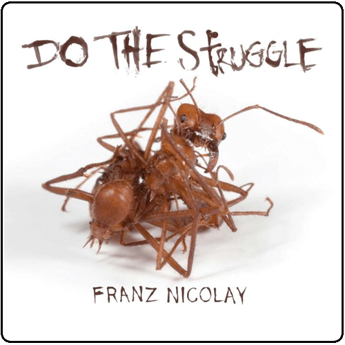 Franz Nicolay - Do The Struggle LP
