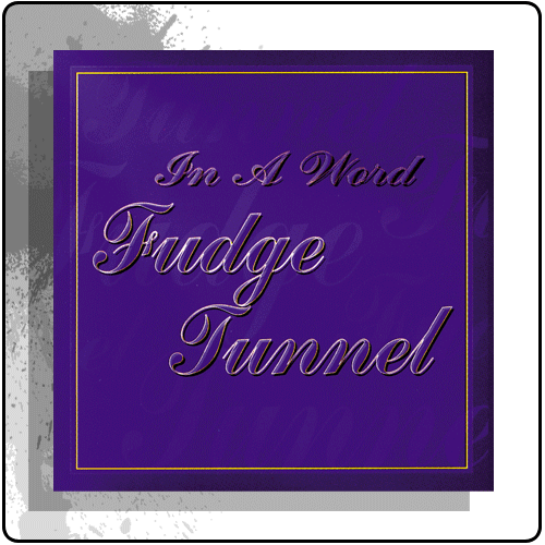 Fudge Tunnel - In A Word
