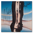 The Kinks : Misfits