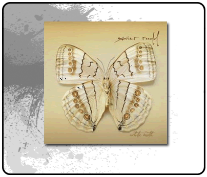 Xavier Rudd - White Moth