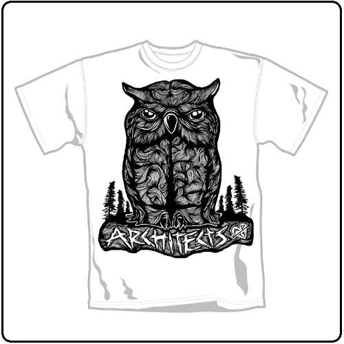 Architects - Owl