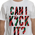 A Tribe Called Quest : Can I Kick It