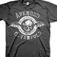 Avenged Sevenfold : Origins