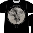 Baroness : Goat Storm