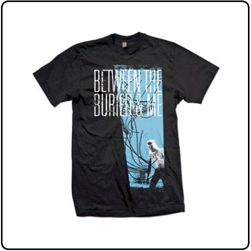 Between The Buried And Me - Picket Fence