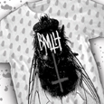 Bring Me the Horizon : Fly All Over