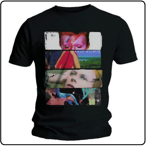 David Bowie - sliced-image-2