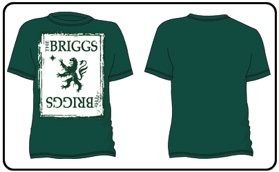 The Briggs - Lion