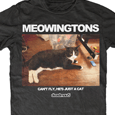 Deadmau5 : Meowingtons