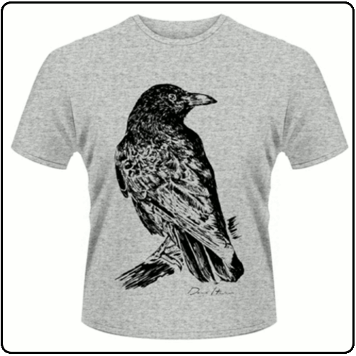 Deaf Havana - CROW