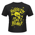 Punk Skull (T-Shirt)