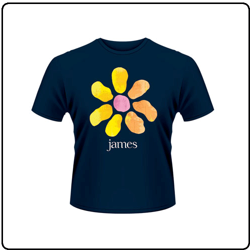 James - DISTRESSED FLOWER 01