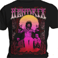 Jimi Hendrix : Flower