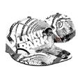 Linkin Park : Full Printing Black/White Flatbi