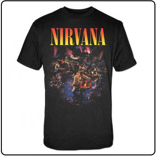 Nirvana - Live Concert Photo