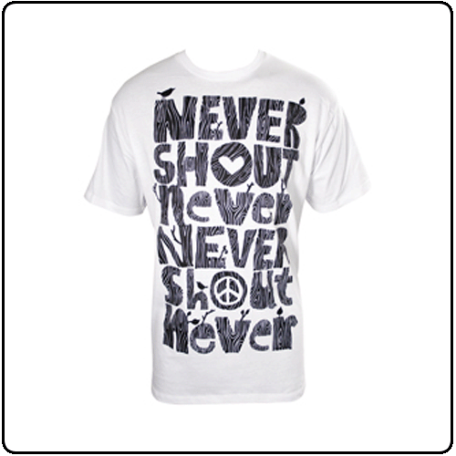 Never Shout Never - Timber