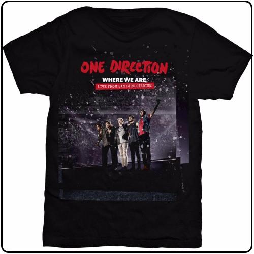 one direction where we are tour movie