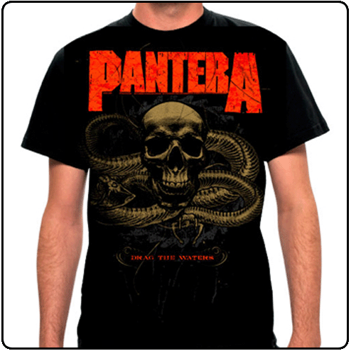 Pantera - Snake