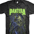 Pantera : Far Beyond