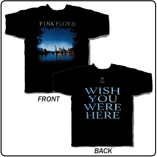 Pink Floyd - Diver