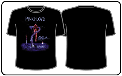 Pink Floyd - Shine On You Crazy Diamond