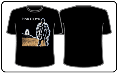 Pink Floyd - Delicate Sound Of Thunder