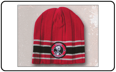 Social Distortion - Logo With Stripes