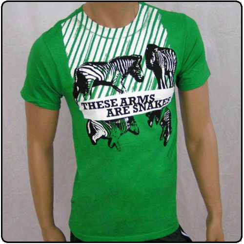 These Arms Are Snakes - Zebra