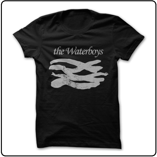 The Waterboys - Logo (grey)