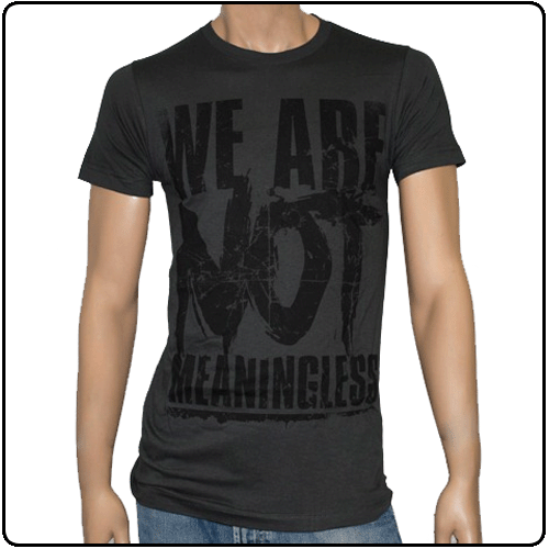 We Came As Romans - We Are Not Meaningless (Grey)