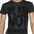 We Came As Romans : We Are Not Meaningless (Grey)