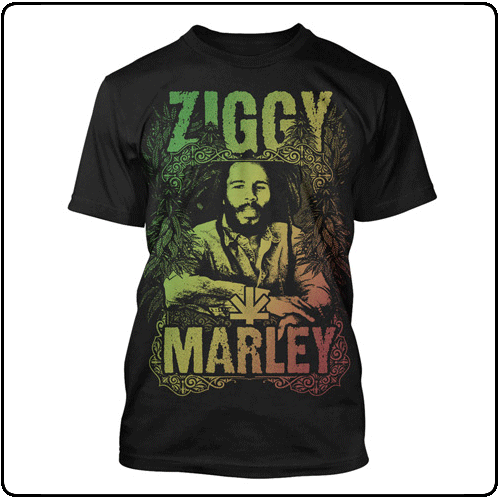 Ziggy Marley - Frame