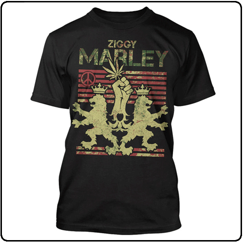 Ziggy Marley - Peaceful Power