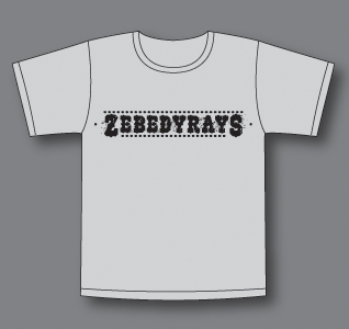 Zebedy Rays - Mens Grey