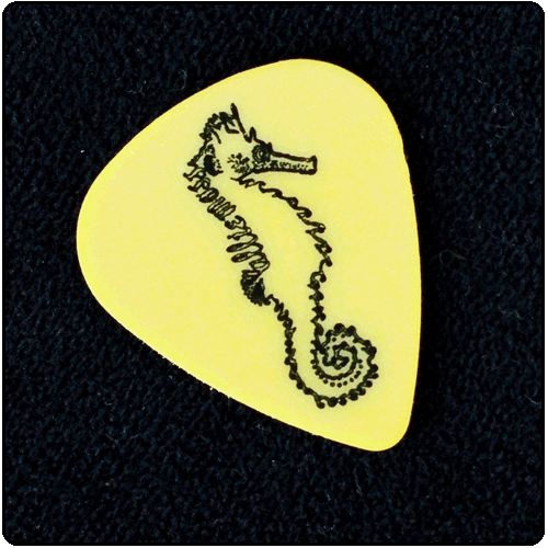 Allie Moss - Seahorse (Guitar Pick)