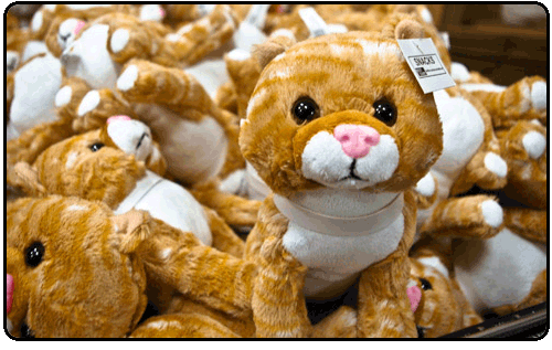 Best Coast - Snacks Plush Cat