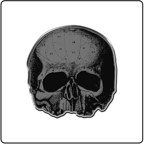 Black Label Society - Skully