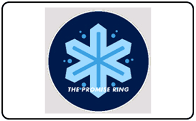 Promise Ring - Snowflake