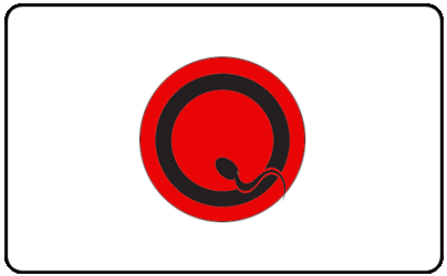 Queens Of The Stone Age - Q