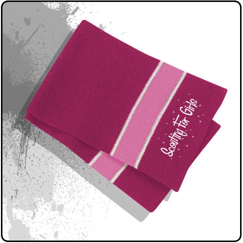 Scouting For Girls - Pink Scarf Logo