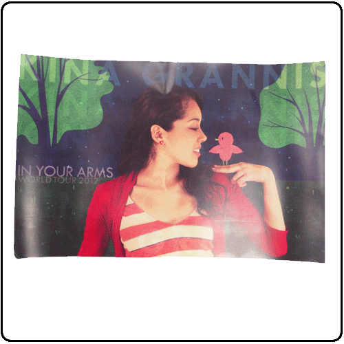 Kina Grannis - World Tour 2012