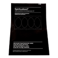 Spiritualized : Spiritualized Poster