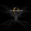 A Perfect Circle - Roots
