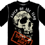 The Casualties - Carry On The Flag
