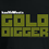 Kanye West - Gold Digger