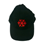 Snow Patrol - Cap Logo