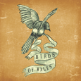 Birds Of Wales : Birds Of Wales